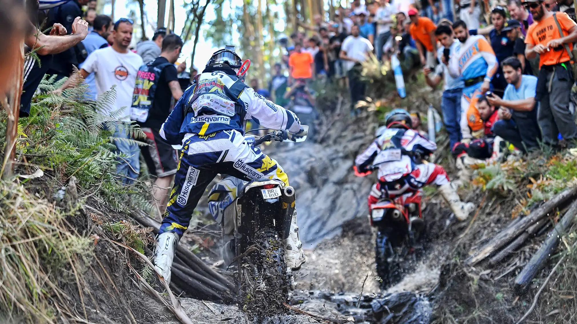 XL Lagares race image