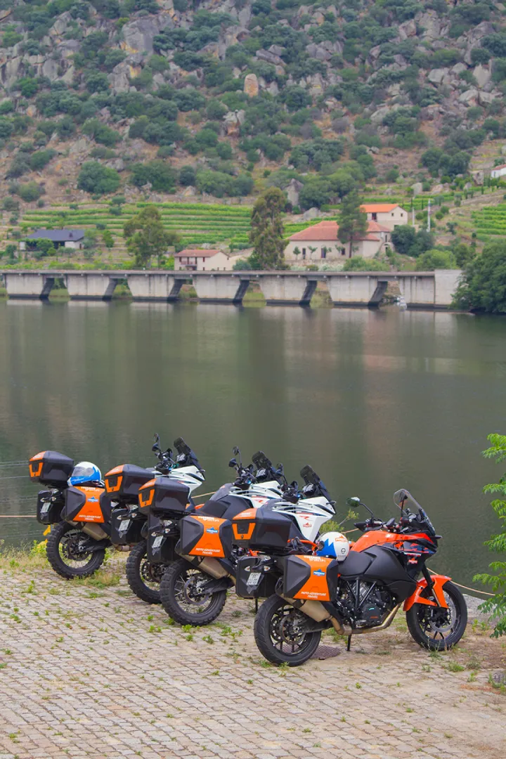 Open Porto & Douro Valley Experience Tour details