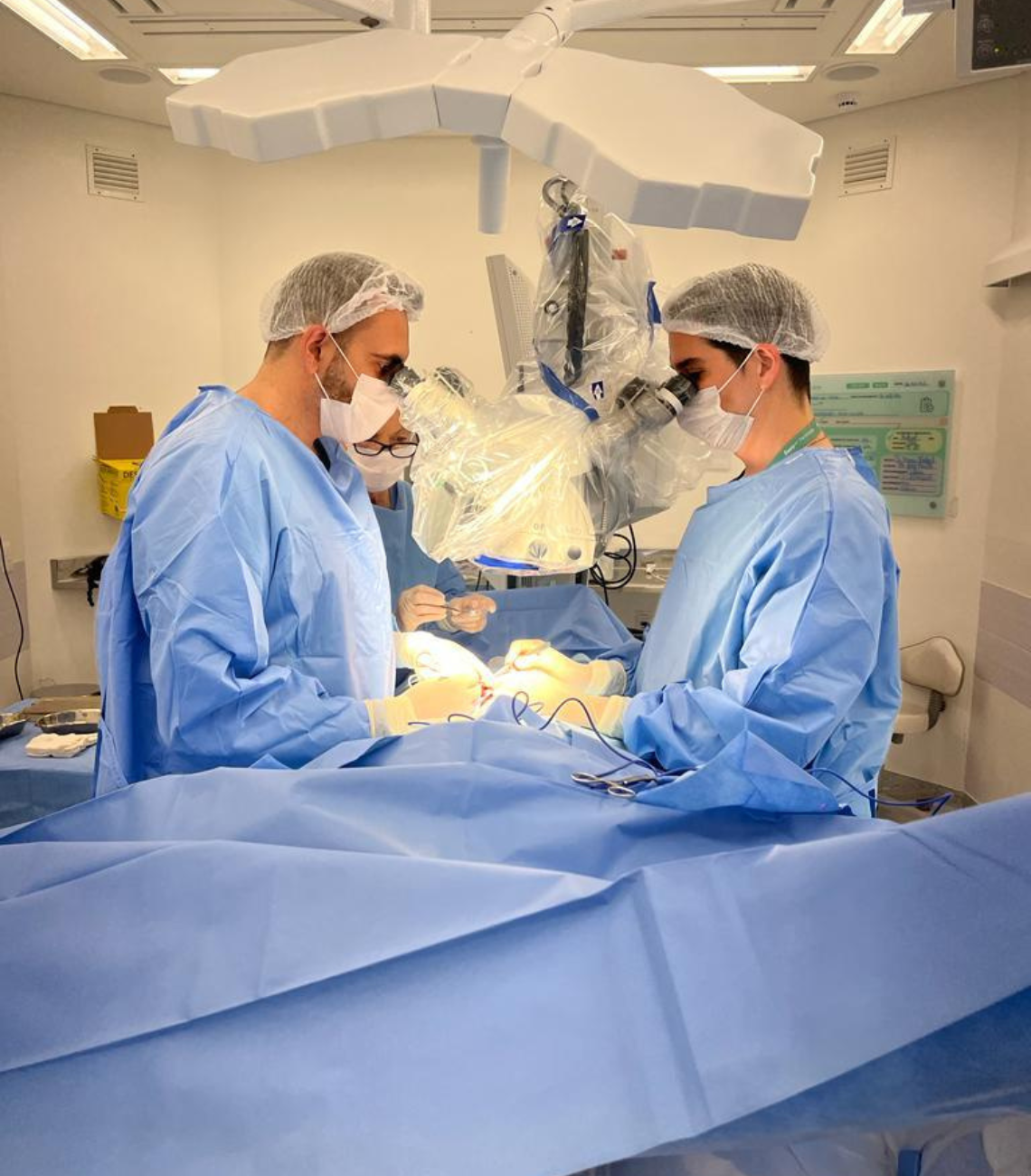 Capa do livro Criopreservação em Reprodução