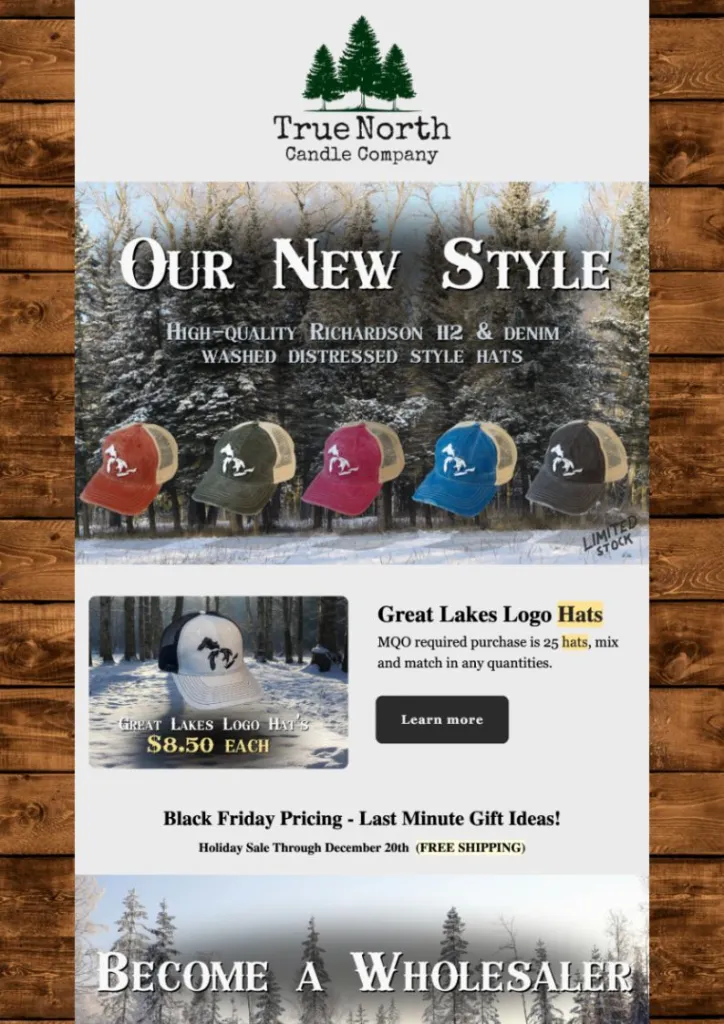 Client Email Marketing Services