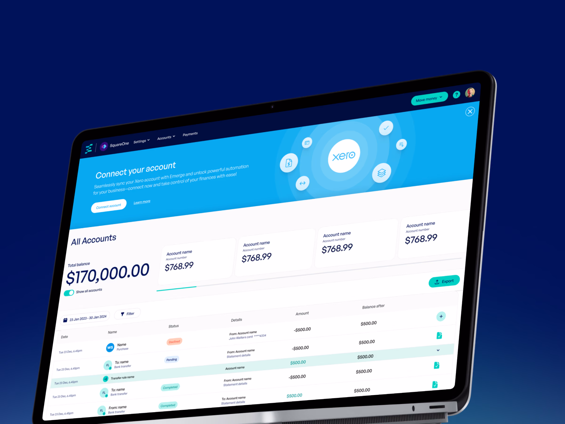 Computer screen showing a financial dashboard with account balances and transaction details in a web app.