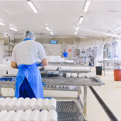 A worker inside the factory.
