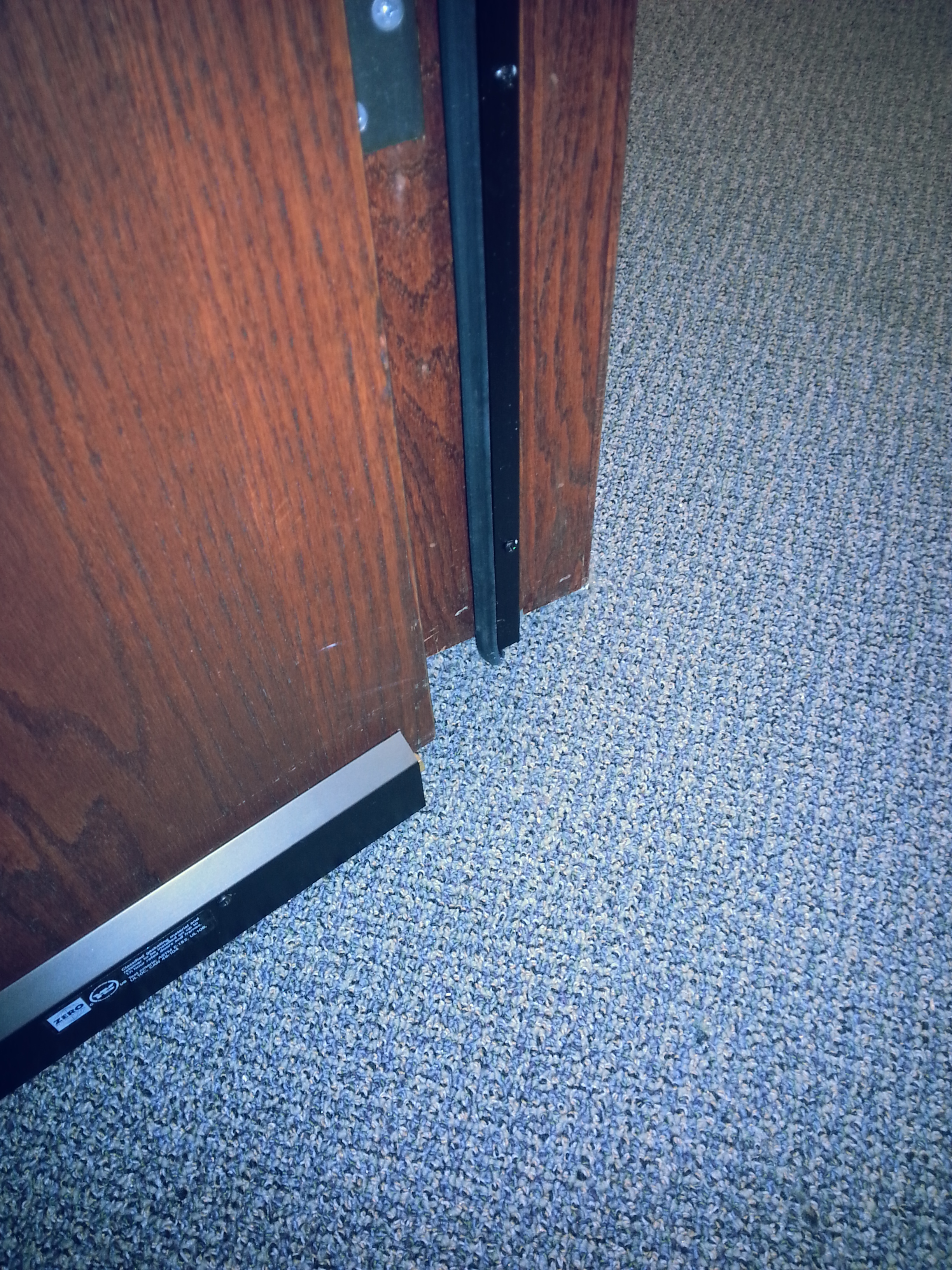 Close-up of a wooden door edge with a metal and rubber door seal at the bottom, installed against a blue-gray textured carpet.