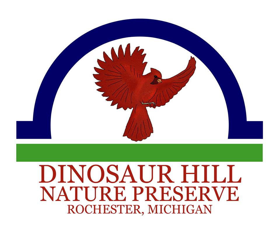 Dinosaur Hill