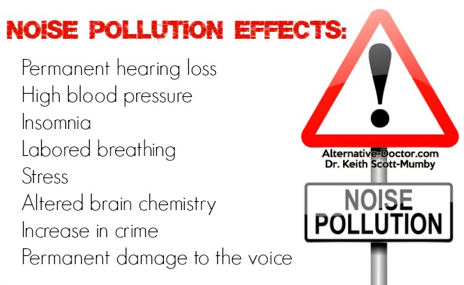 Noise Pollution Effects Infographic