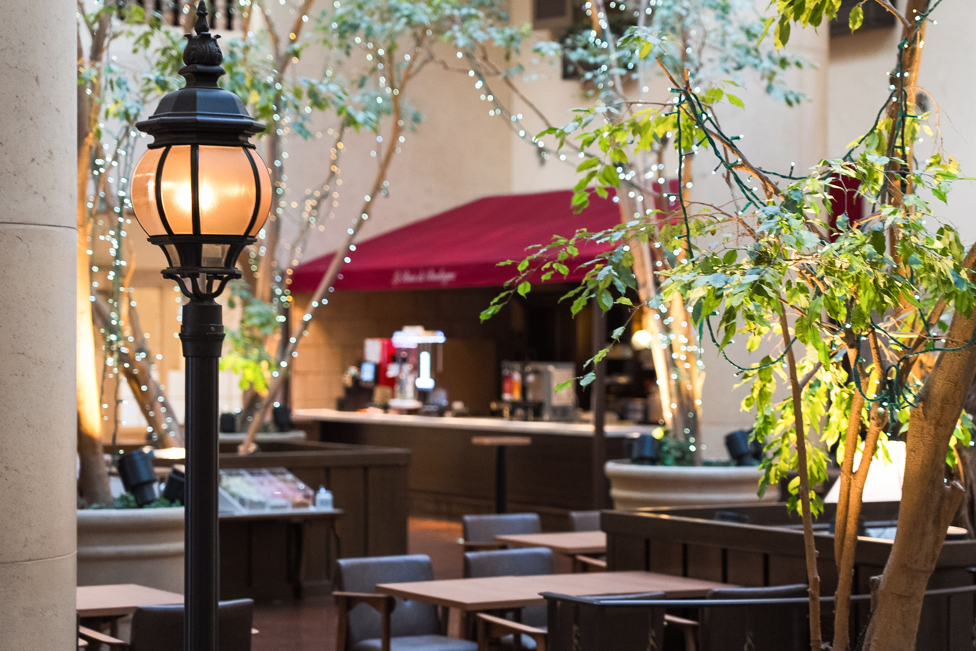 Scuba Diving - Hotel Webflow Template