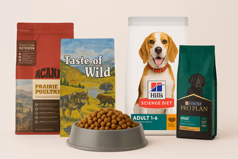 Perro feliz rodeado de bolsas comida de perro en un patio