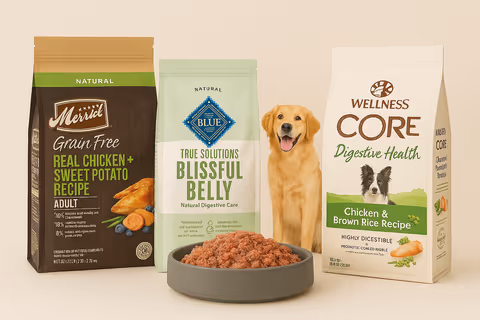 Comida de perro natural en chile