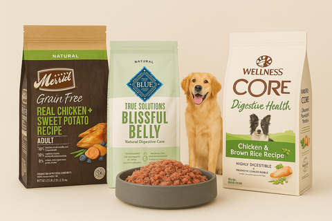 Comida de perro natural en chile