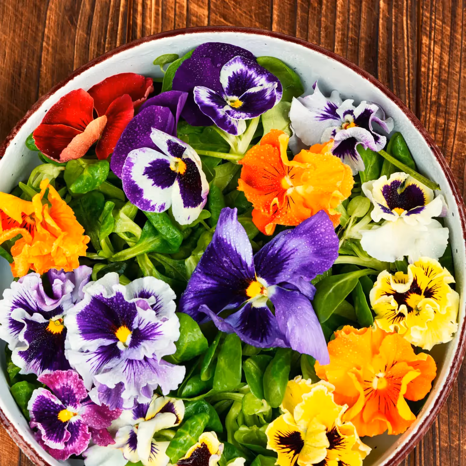 Edible Flowers