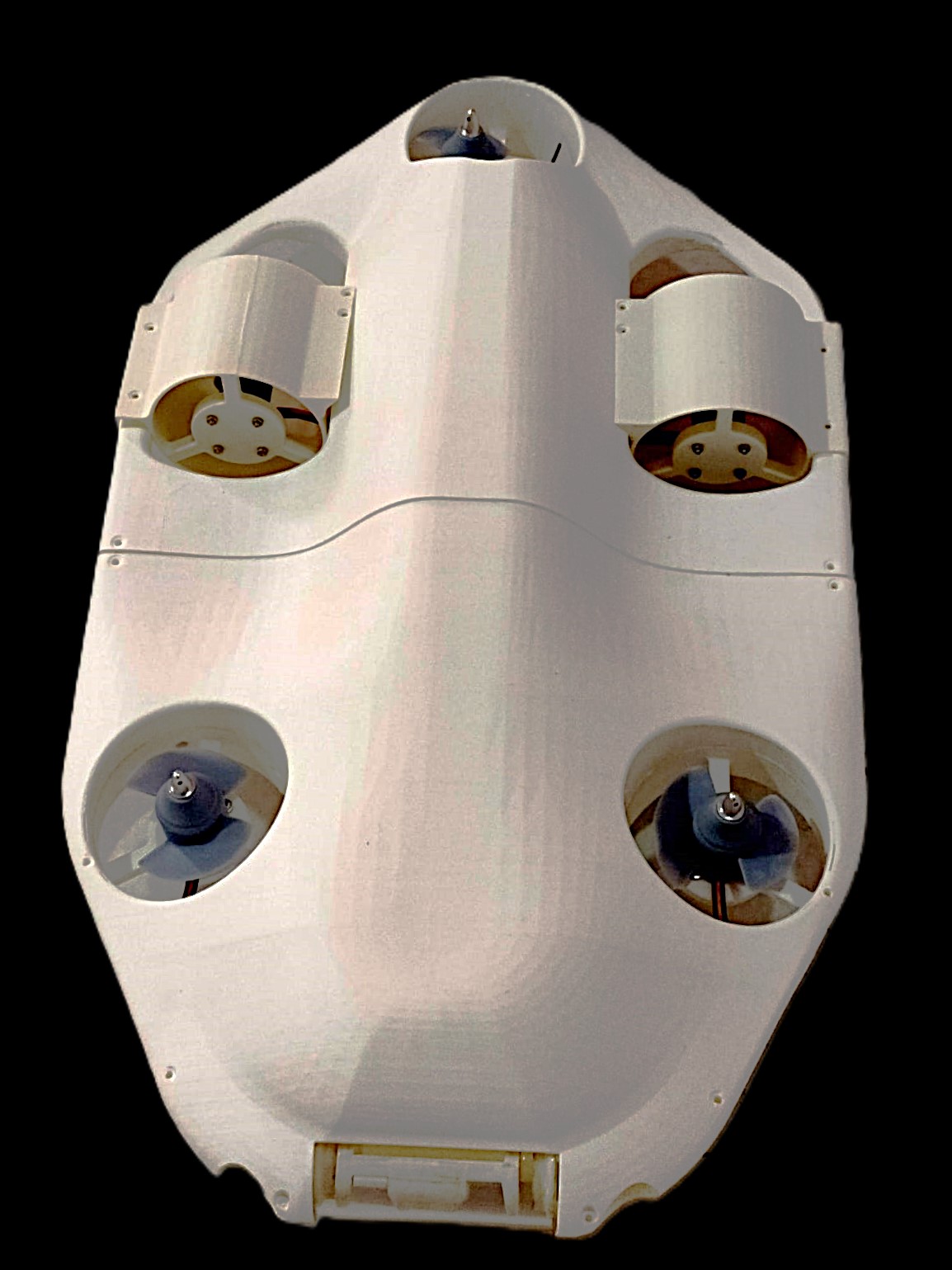 image of conservation team in action