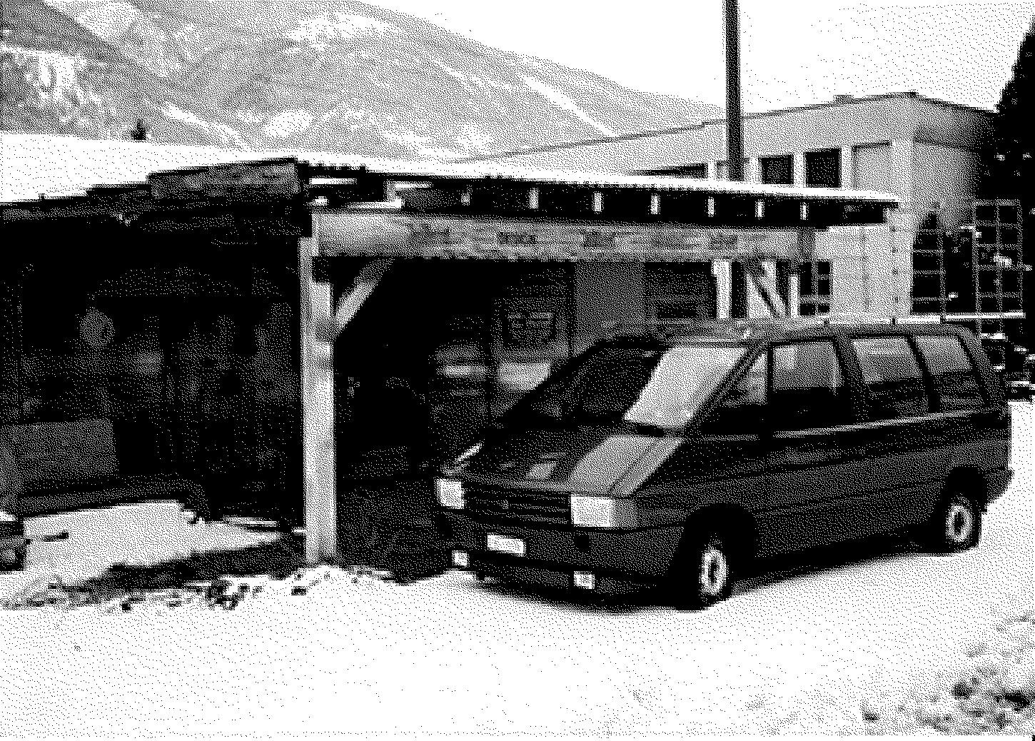 Photo d'archive de l'entreprise caméléon à ses débuts