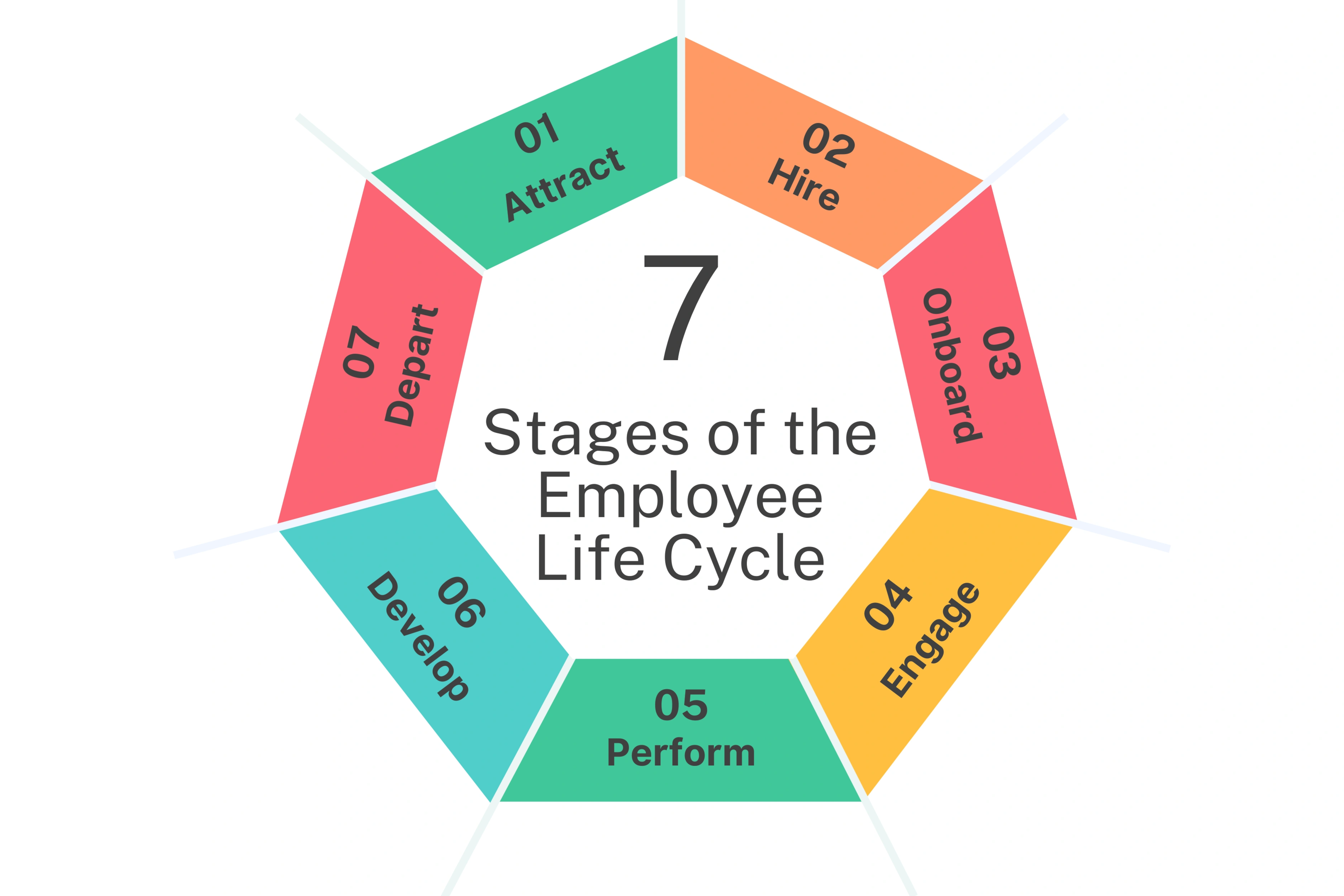 Focus on the Seven Stages of the Employee Life Cycle