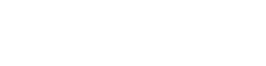 Visium SA