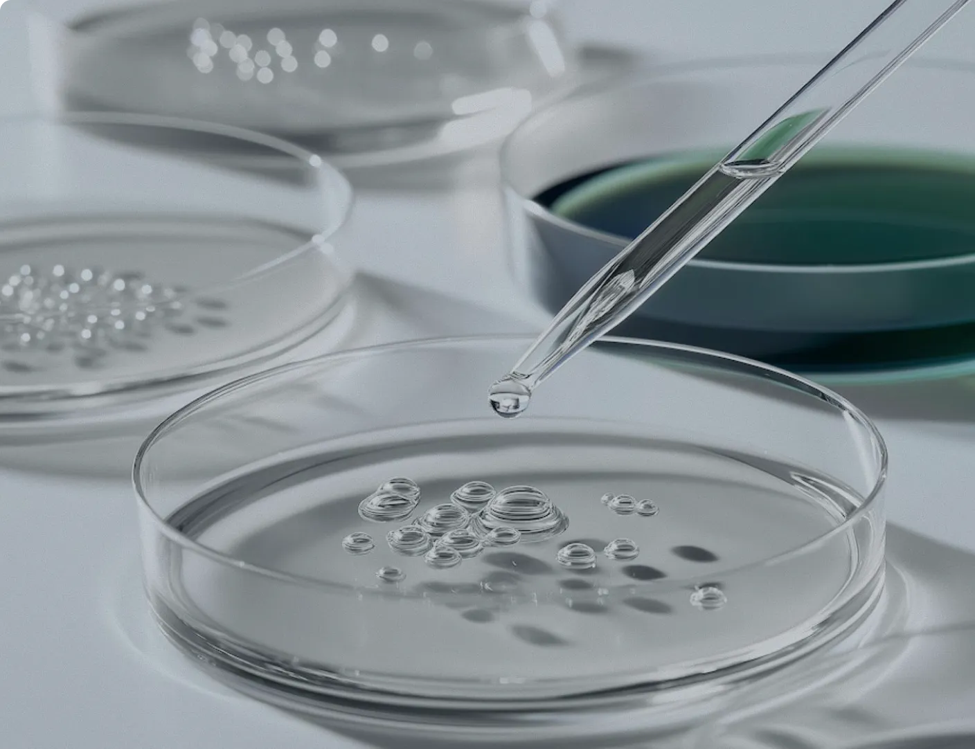Laboratory pipette dispensing a clear liquid into a petri dish surrounded by glass labware.