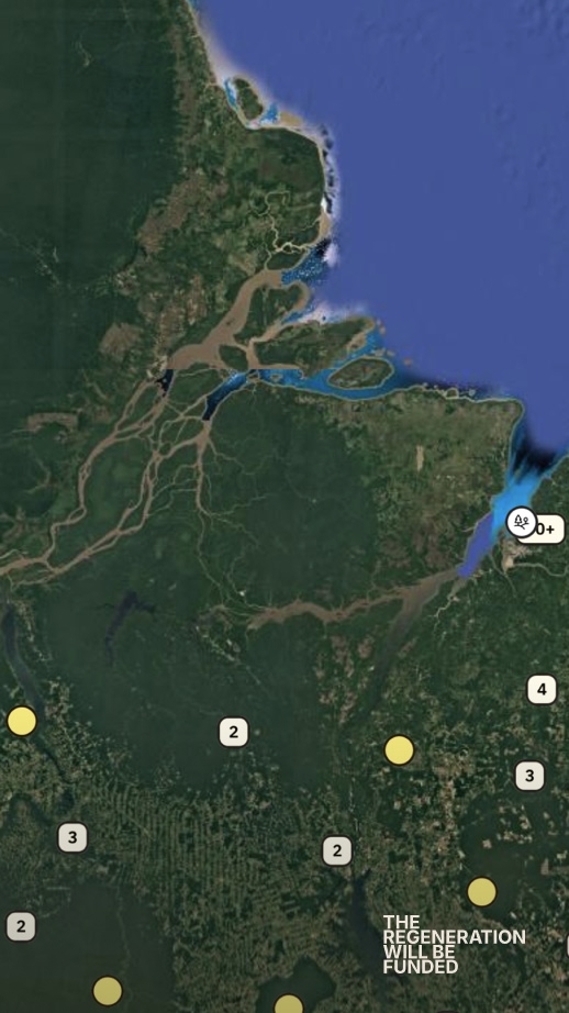 Nature as the Economic Choice