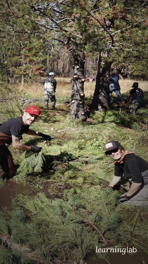 Restoring Ecosystems with Beavers