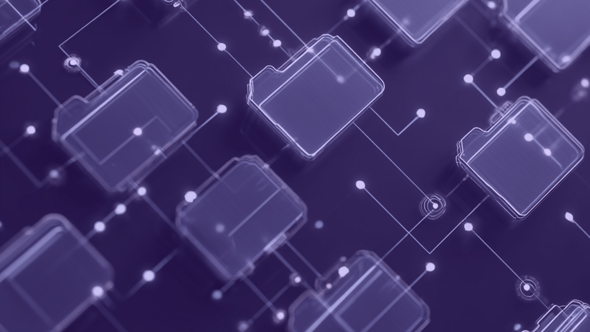 About Warden Assured