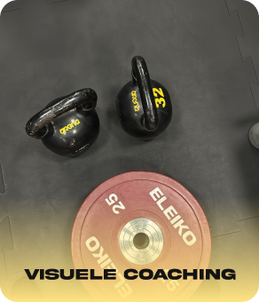 Visuele coaching