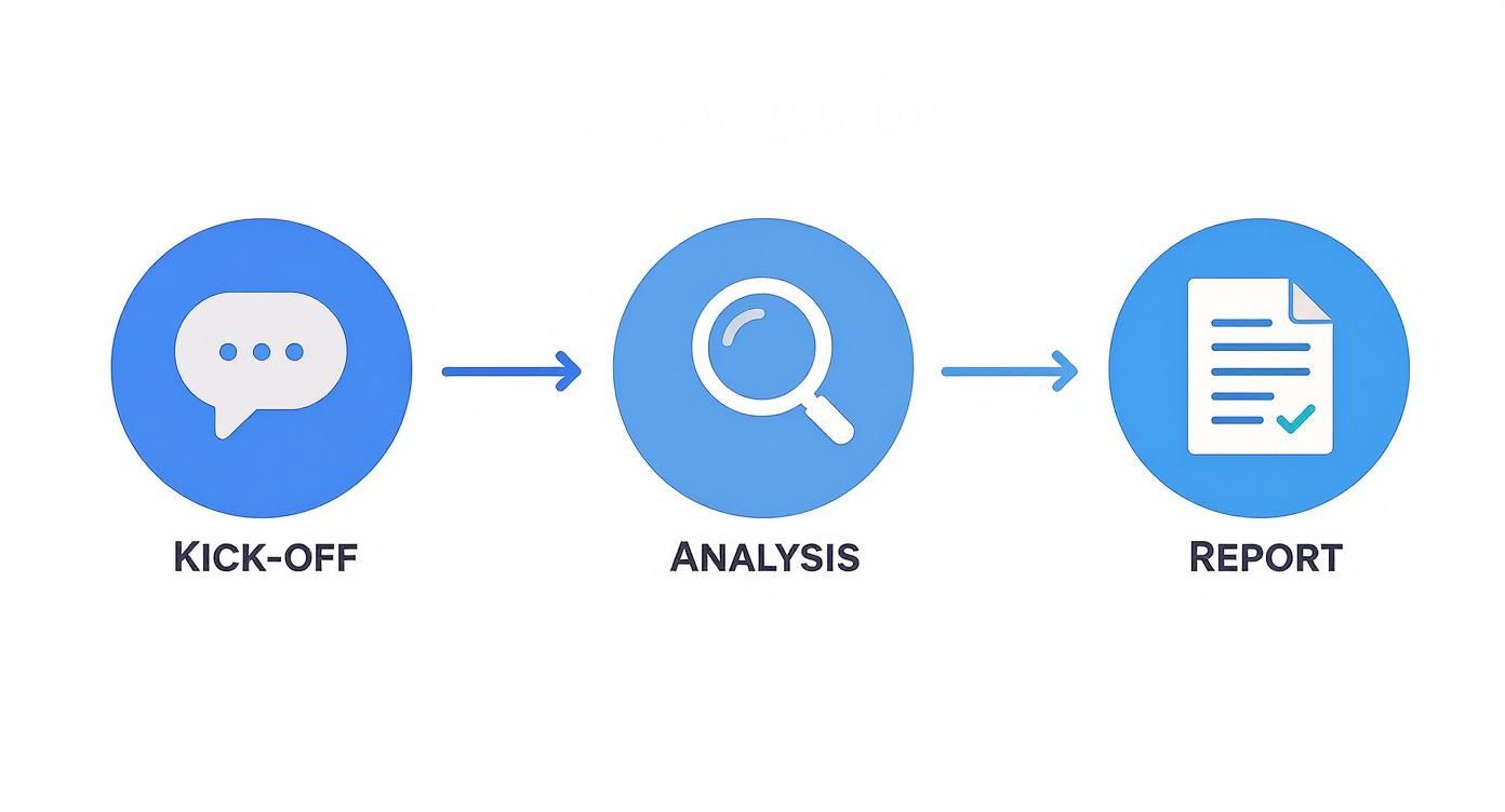 Infographic about seo audit agentur