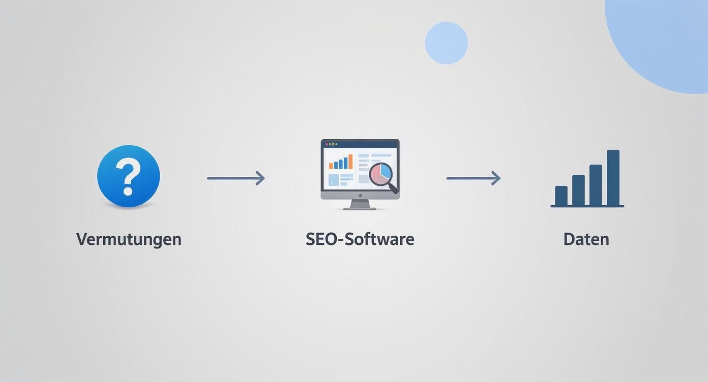 Infographic about seo optimization software