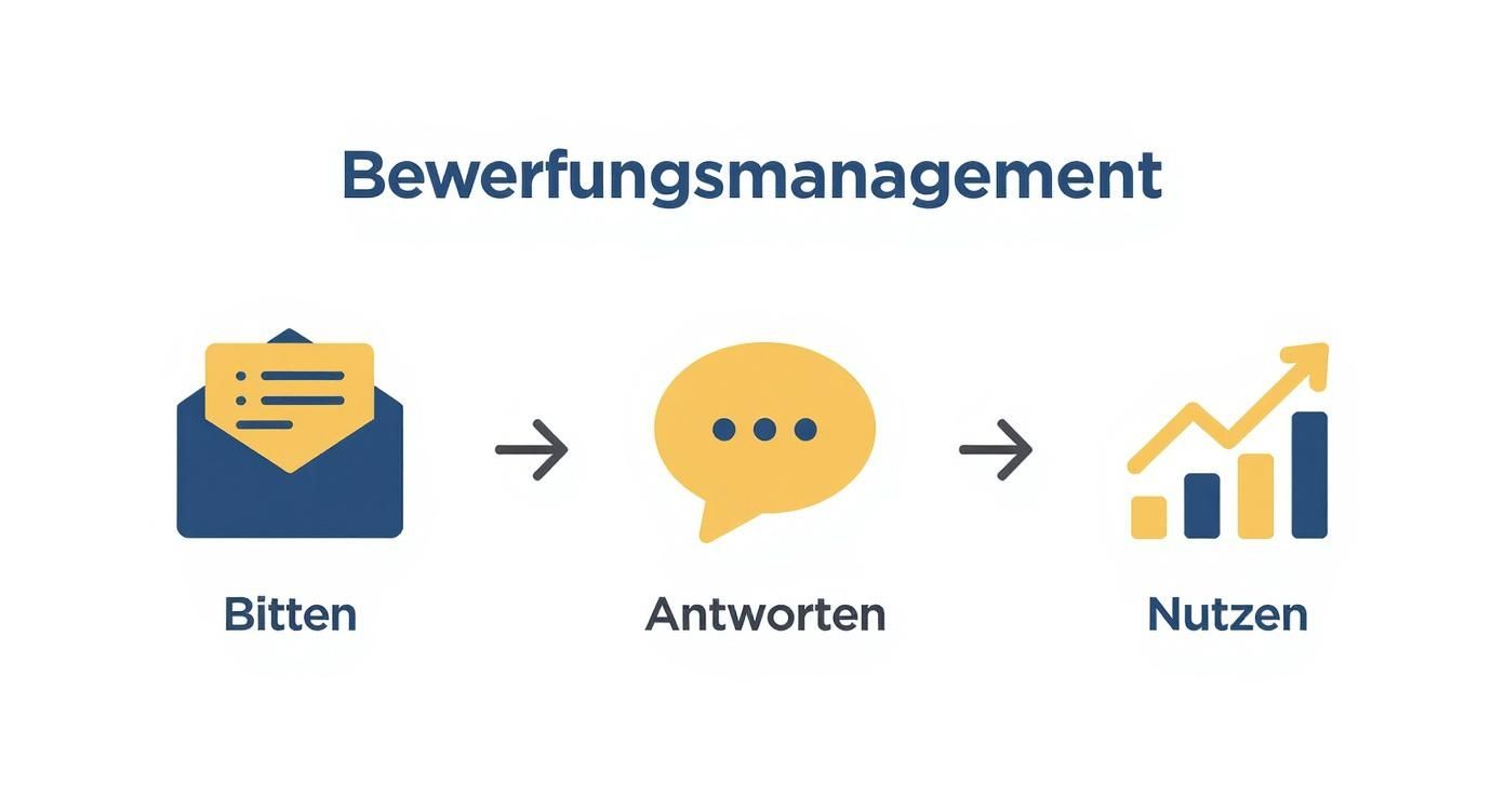 Infografik über google my business optimieren