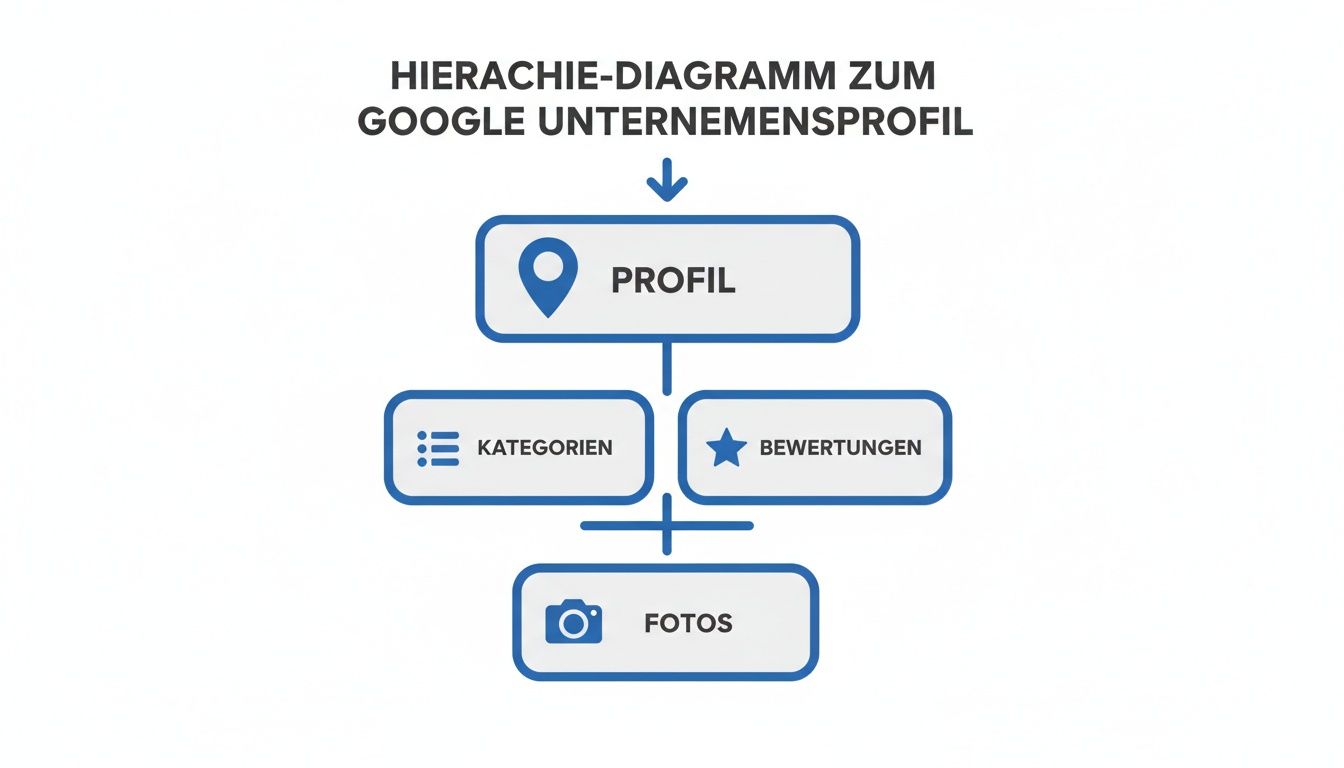 Hierarchie-Diagramm zum Google Unternehmensprofil mit den Elementen Profil, Kategorien, Bewertungen und Fotos.