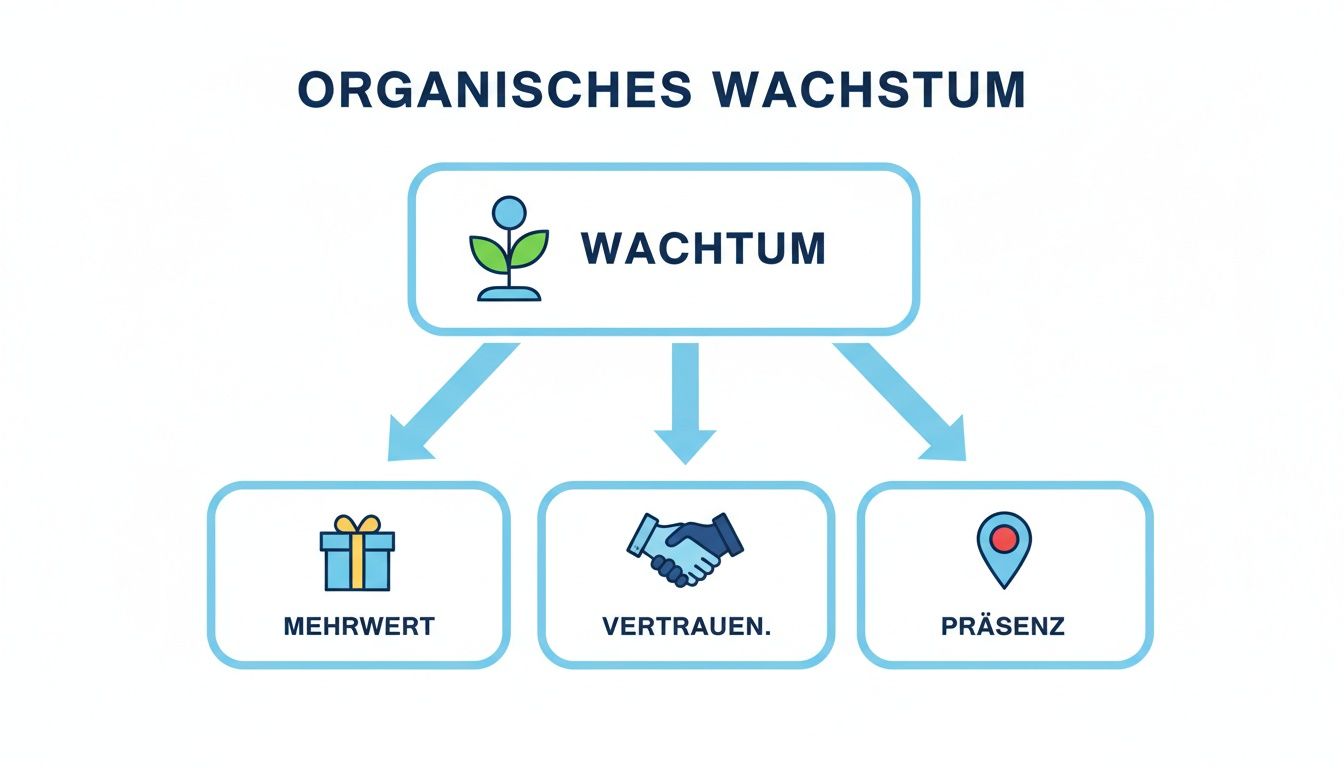 Infografik über organisches Wachstum mit den Säulen Mehrwert, Vertrauen und Präsenz, symbolisiert durch Icons.