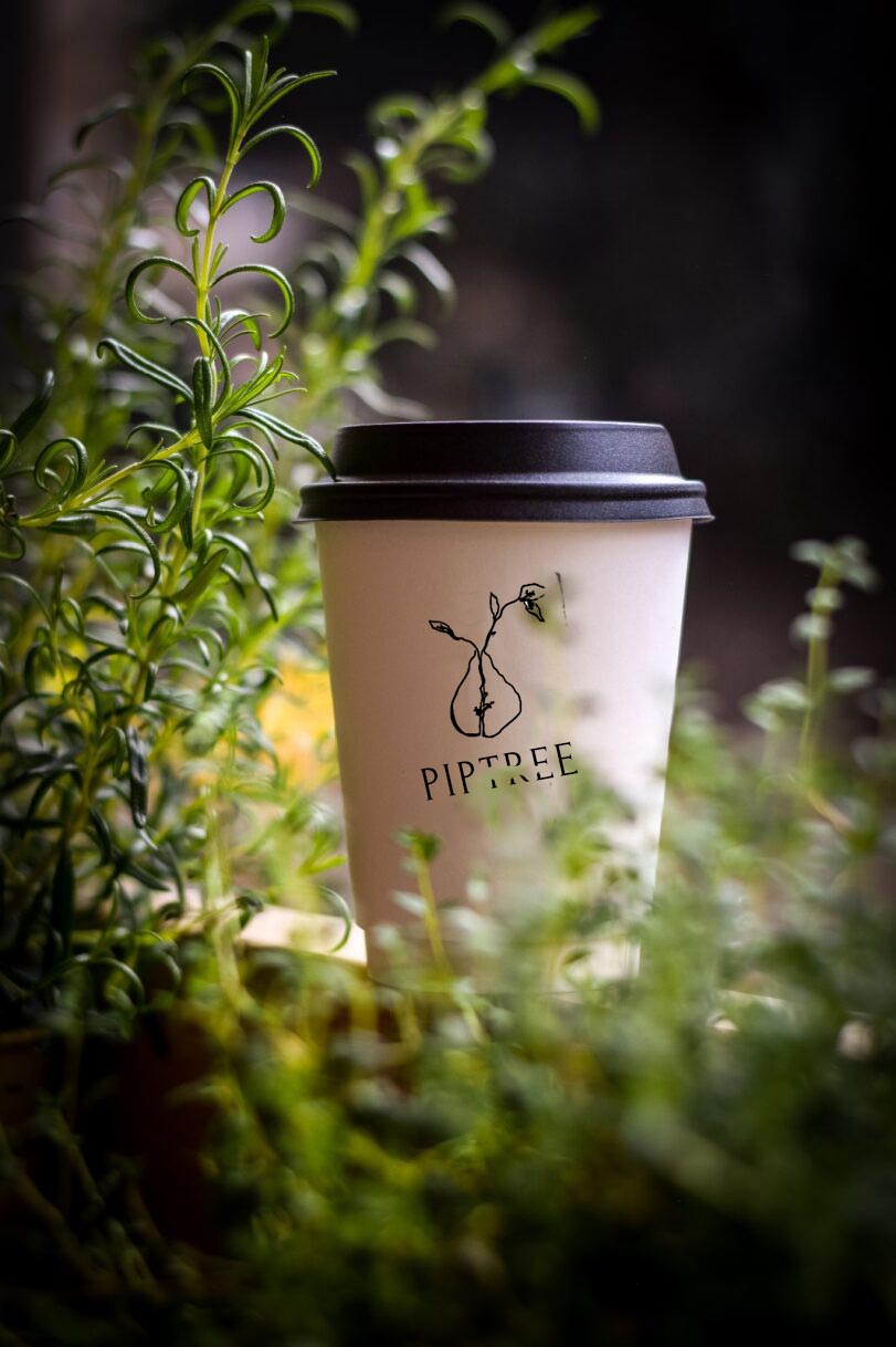 Coffe Cup