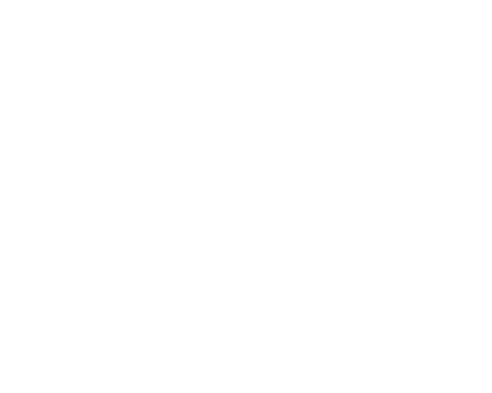 logo-half-right-bottom