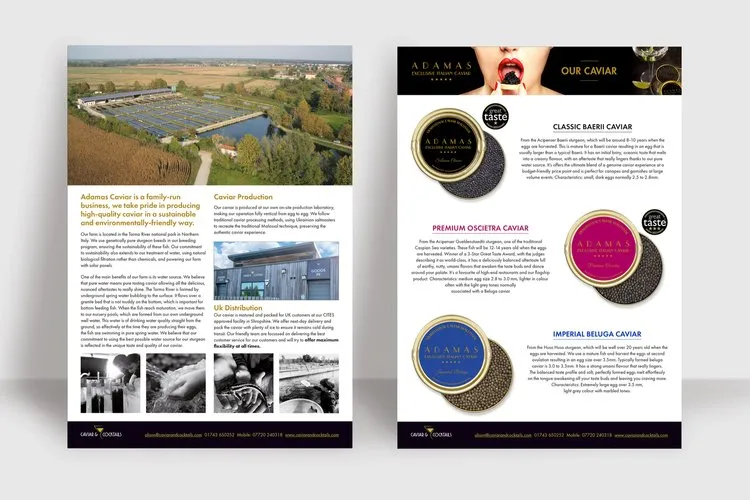 A mock-up of a double sided leaflet - showcasing a caviar product