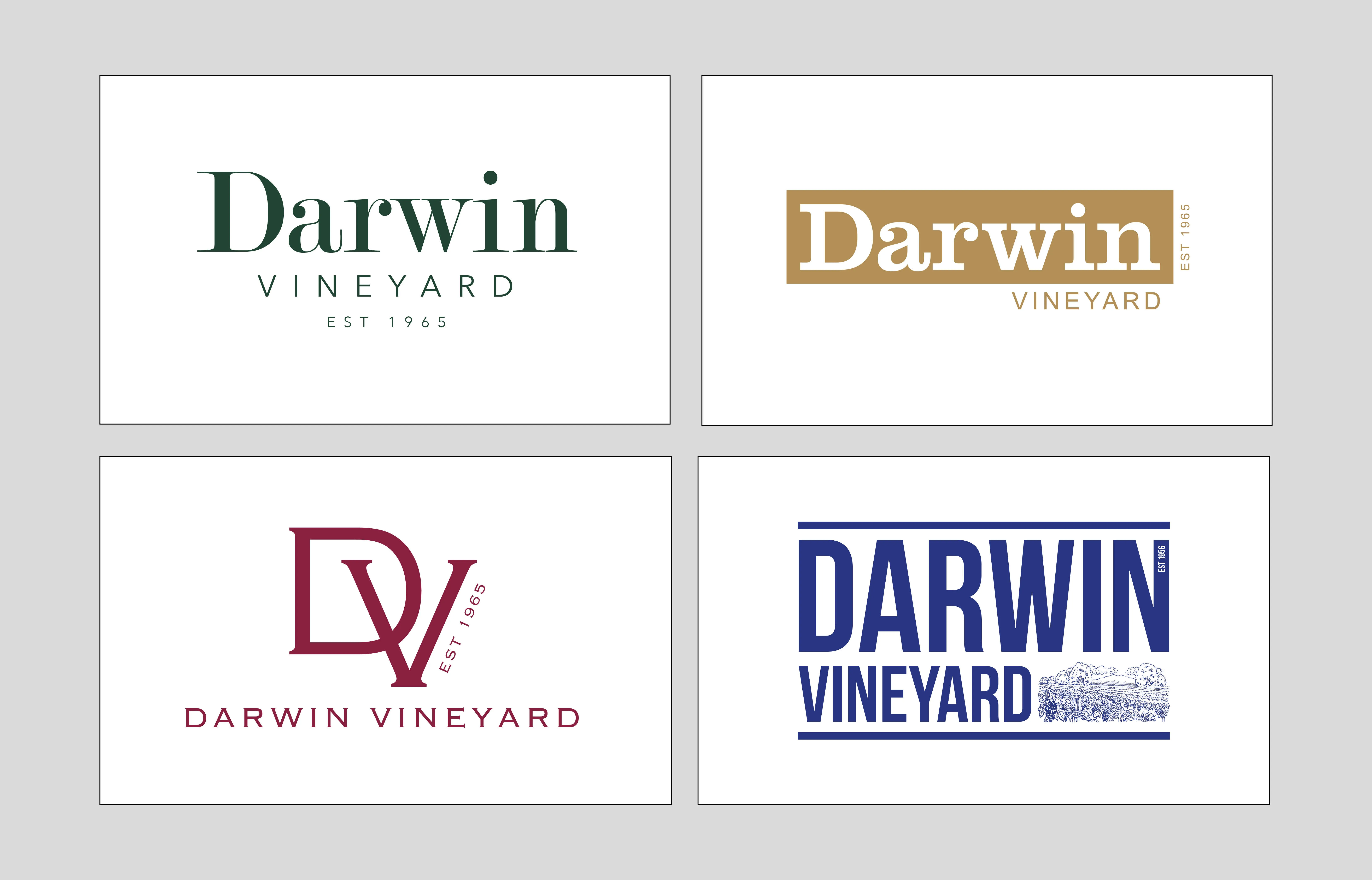 A set of four logo options for Darwin vineyard
