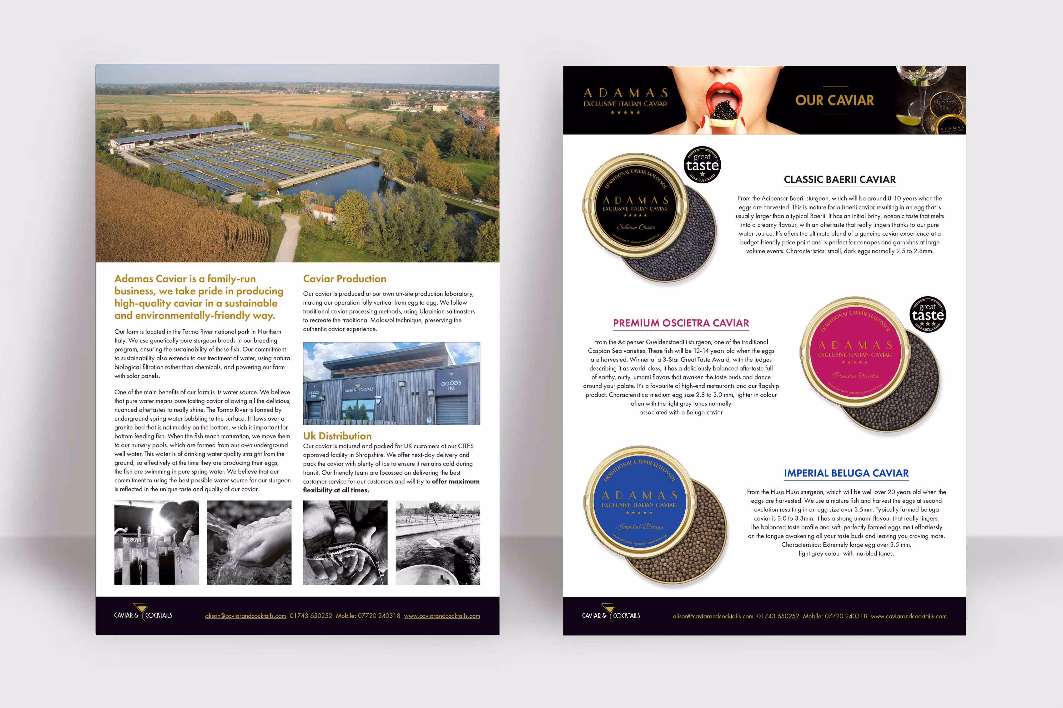 A mock-up of a double sided leaflet - showcasing a caviar product