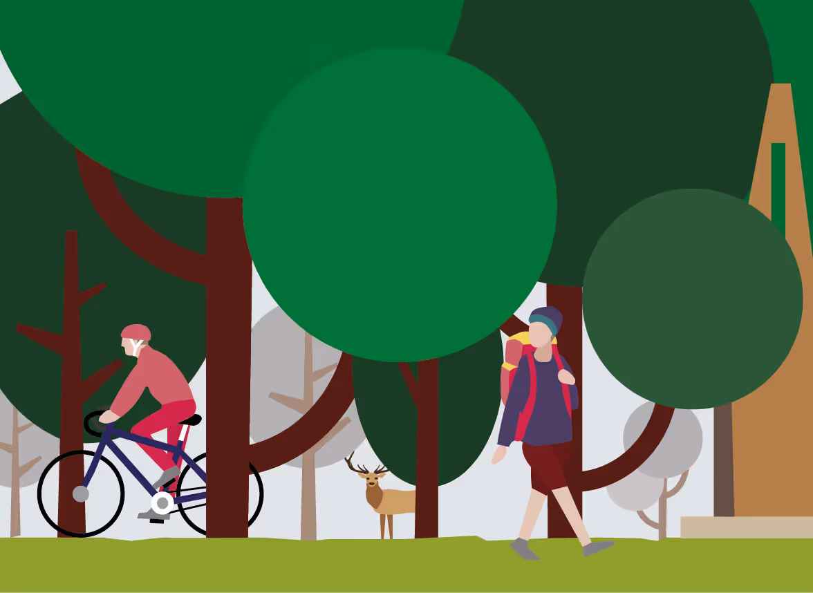 A simple digital graphic of a walker, cyclist, and stag in a forest