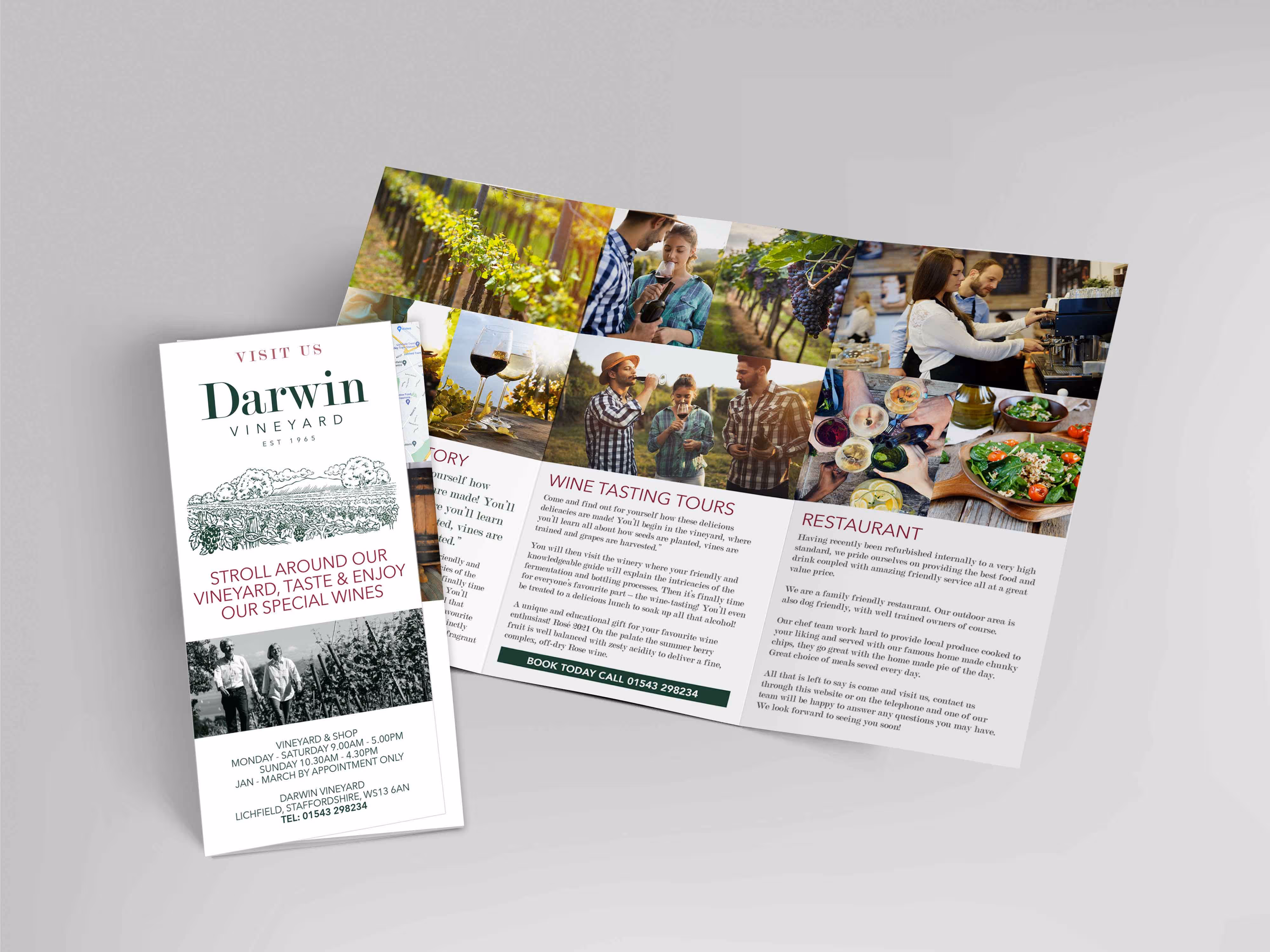 A mock-up of a trifold leaflet designed for Darwin vineyards