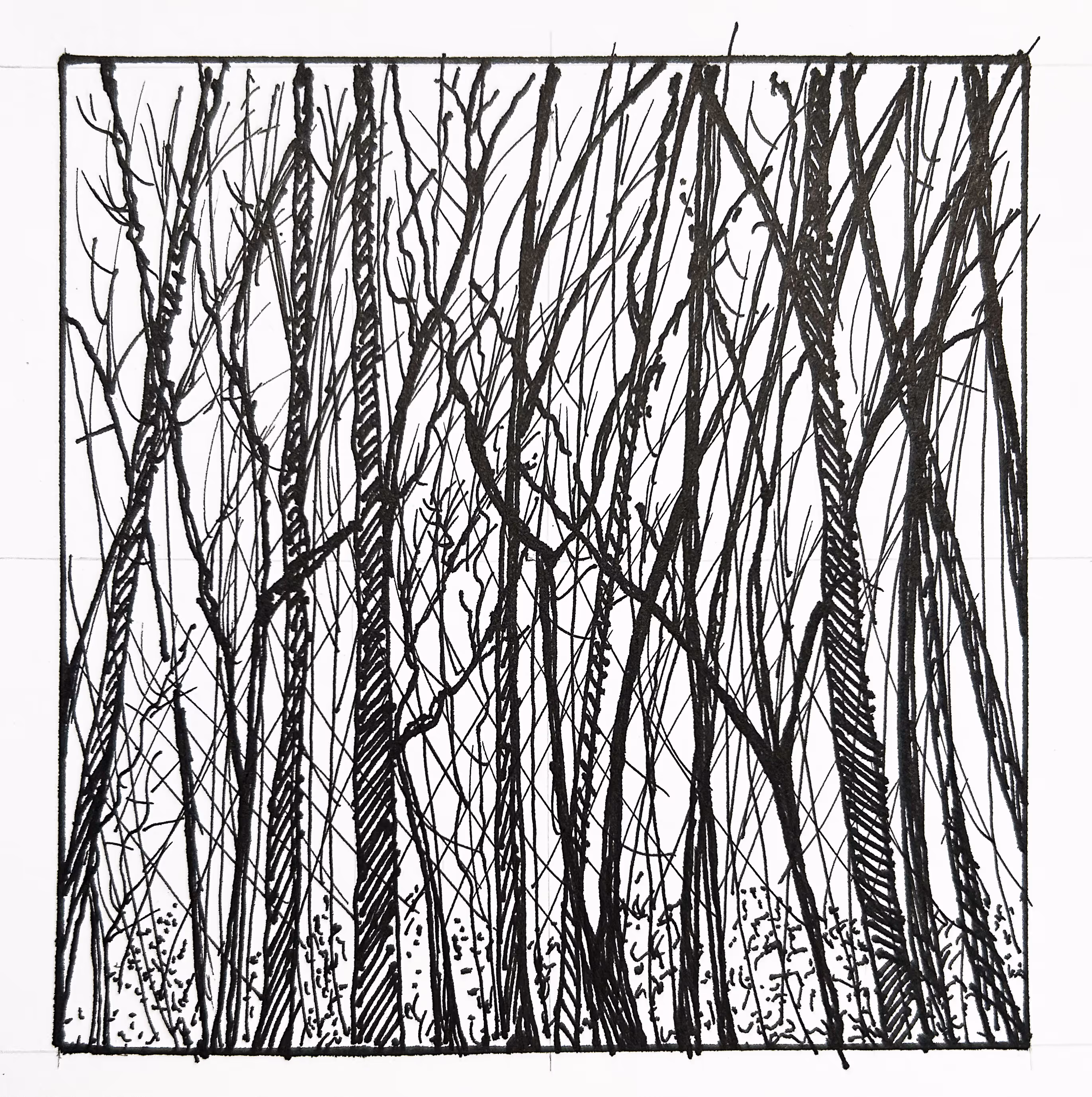 A felt tip pen sketch of some trees in winter