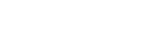 denso logo