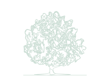 Stilisierter Baum mit vielen Blättern und feinem Stamm, skizzenhaft dargestellt.
