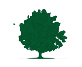 Grüner Baum mit buschiger Krone auf schwarzem Hintergrund.