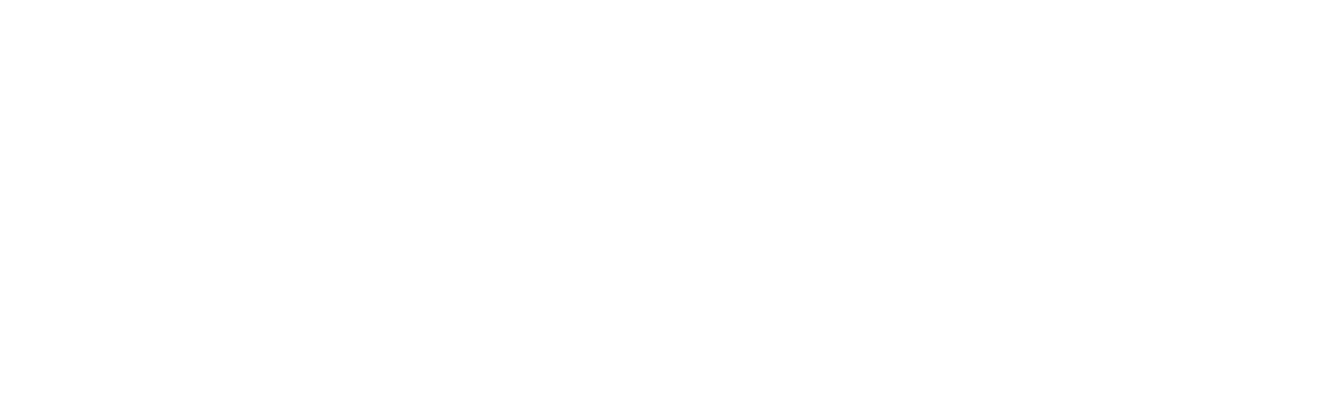 AUGGE's Timeline