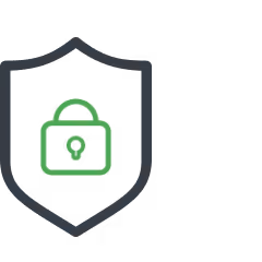 icon security standards
