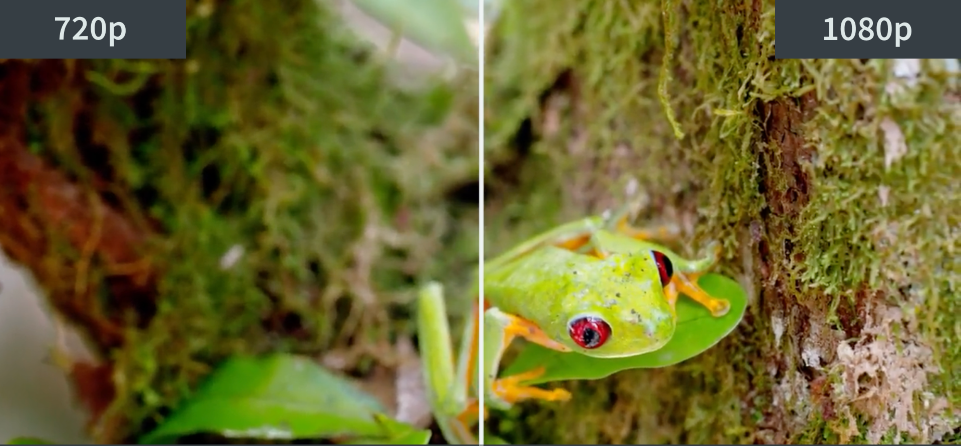 Split screen with two streams in different quality: 720p on the left and 1080p on the right, where the difference in sharpness is clearly visible.