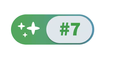 Number 7 icon: Putting governance on hold