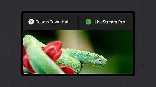 Livestream Pro vs. Microsoft Teams: Welche Lösung passt für Sie?