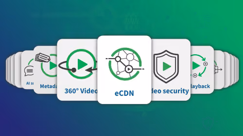 Enterprise Video Management: Effiziente Steuerung & Kontrolle Enterprise Video Management: Machen Sie es richtig?