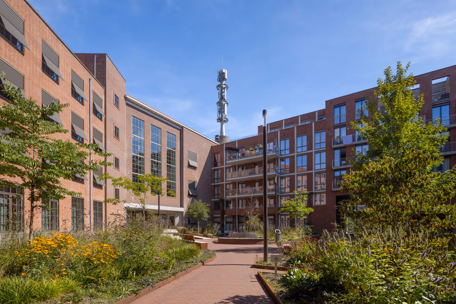 NLV Amadeiro 's-Hertogenbosch