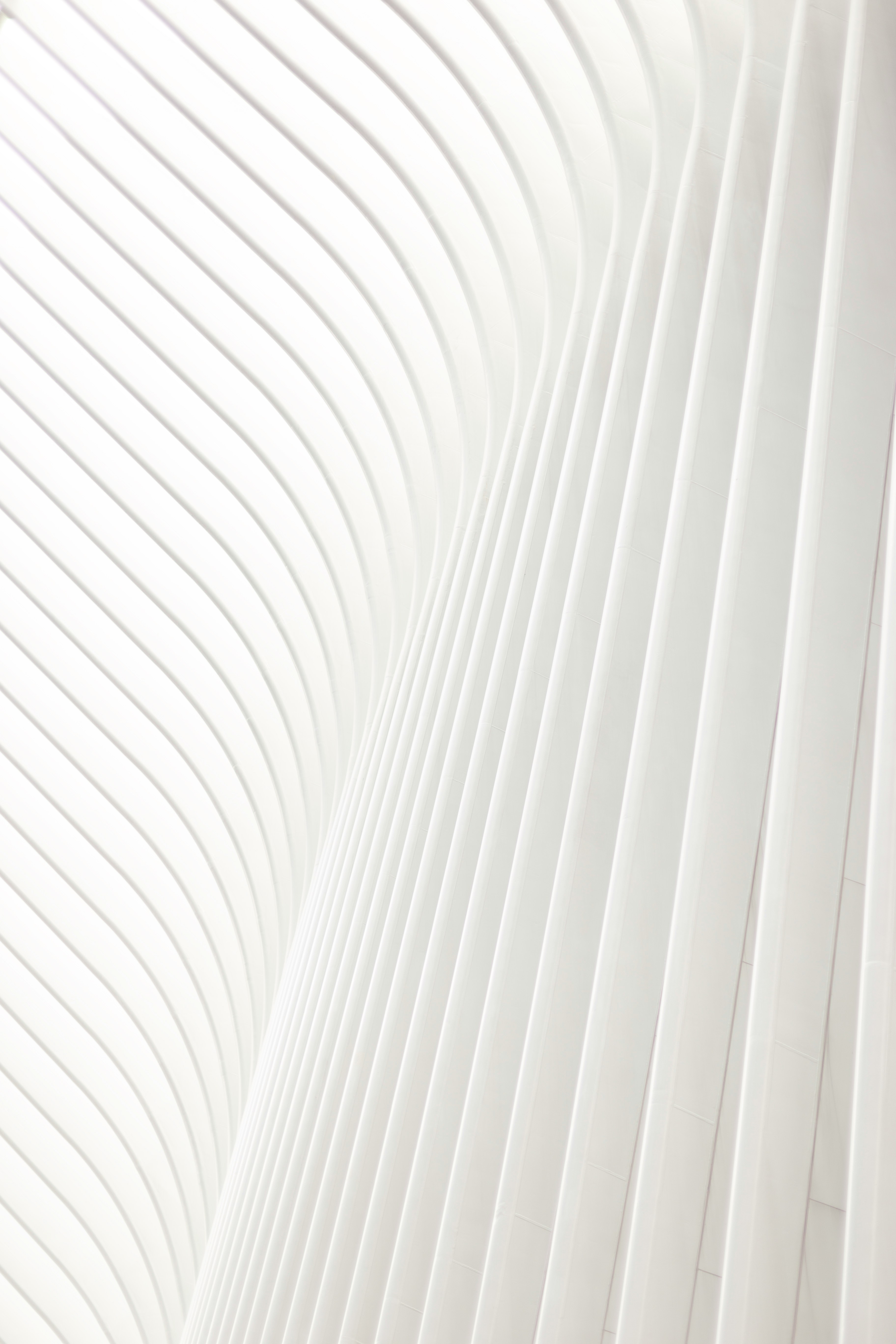 Curved white architectural interior with parallel ribbed lines creating an abstract wave pattern.