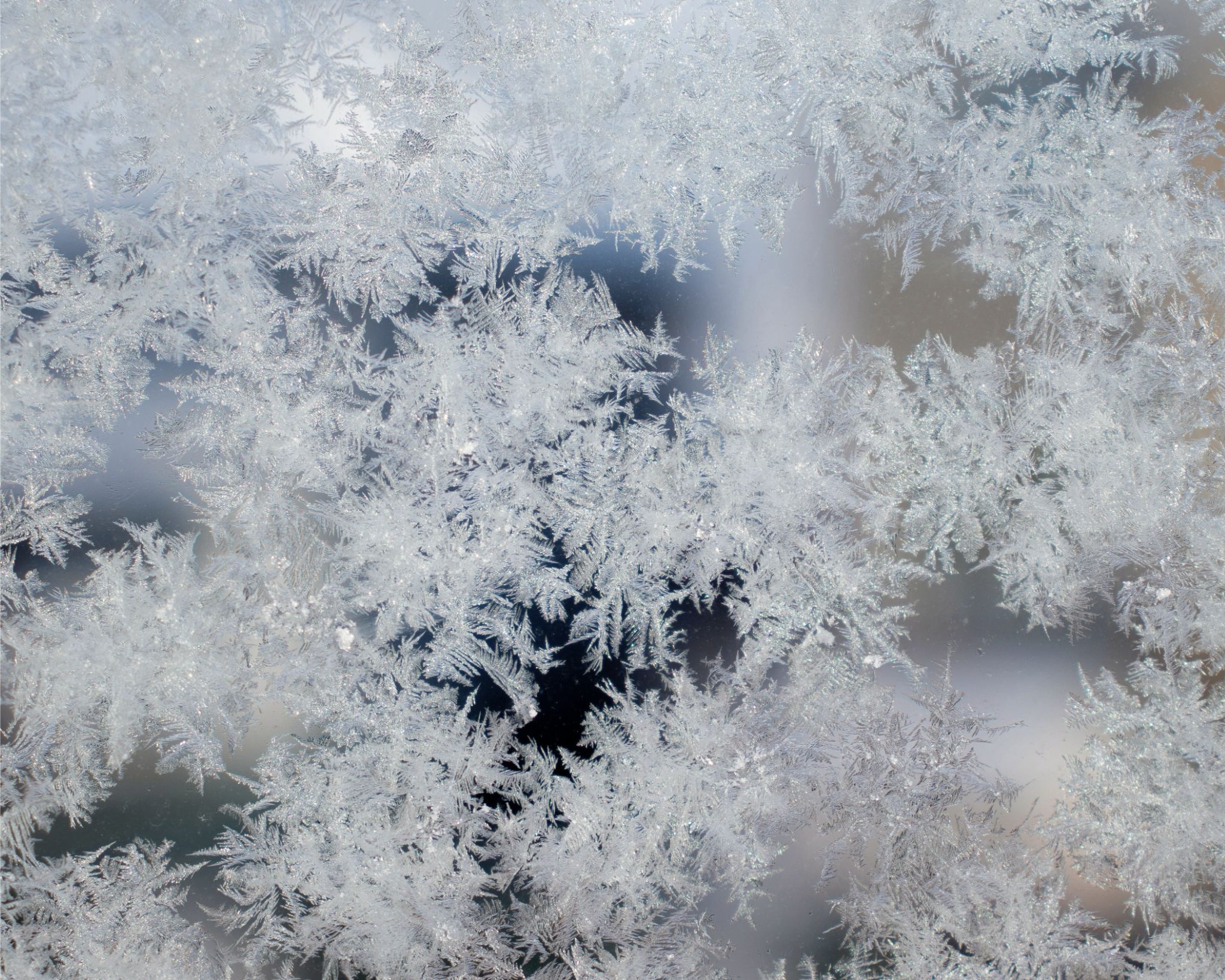 Close-up of intricate frost crystals forming delicate patterns on a glass surface.