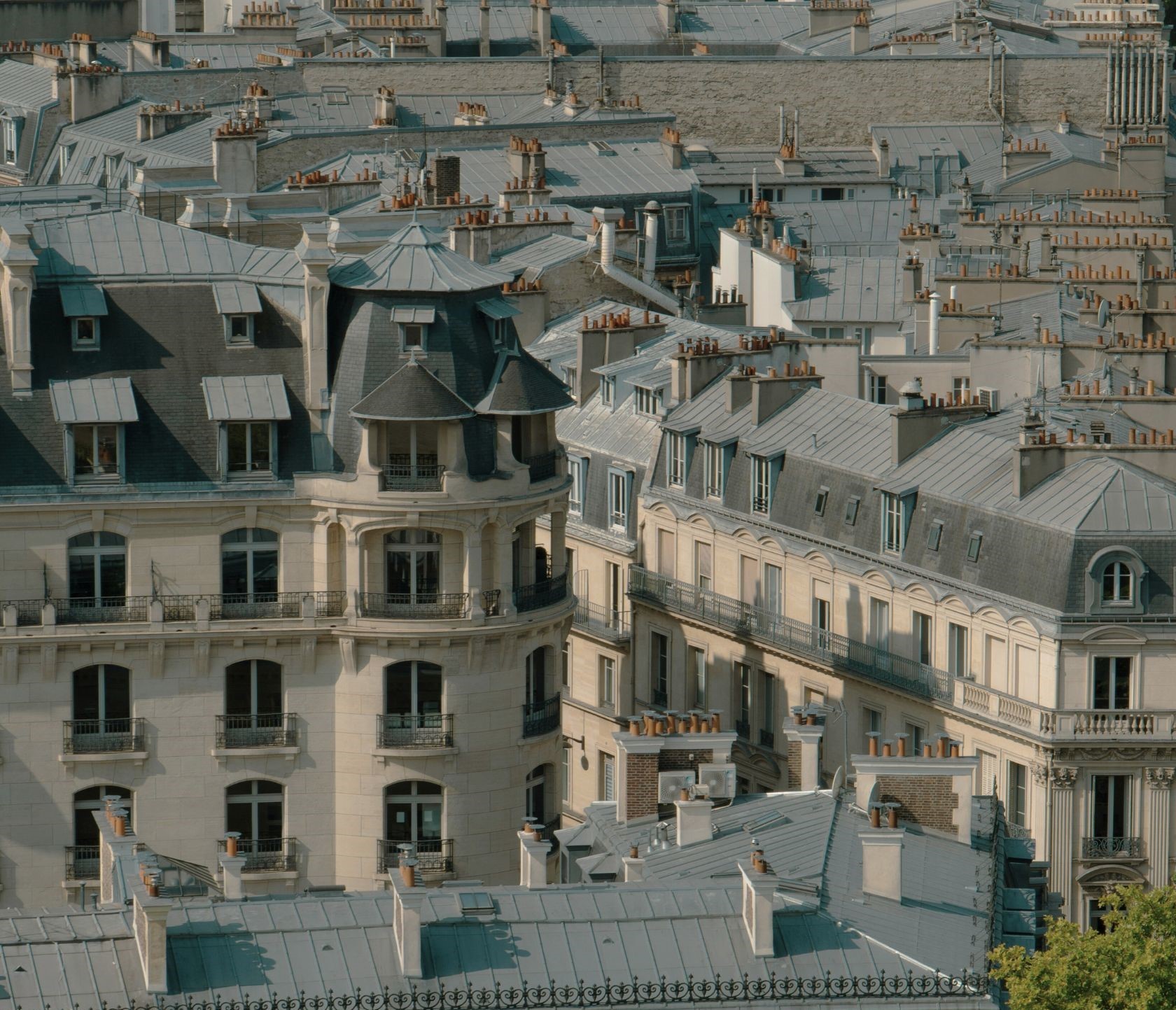 Close-up view of classic Parisian buildings with mansard roofs and multiple chimneys under soft daylight.
