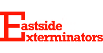 Eastside Exterminators